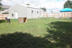 pet kennel in mackinac