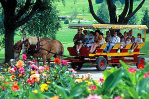 mackinac island carriage tours